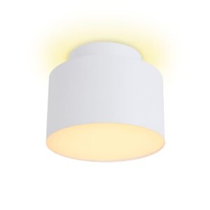 PLAFON PINI 14W 820LM 3000K D11X8,8CM BRANCO